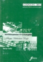 Matthuspassion - Tenor solo 3 Playalong-CD's mit Orchesterbegleitung