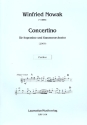 Concertino für Sopraninoblockflöte und Orchester Partitur