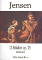 12 Etden op.25  fr Flte solo