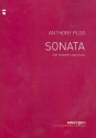 Sonate fr Trompete und Klavier