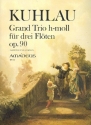 Grand Trio h-moll op.90 fr 3 Flten Partitur und Stimmen