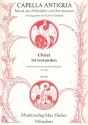 Christ ist erstanden fr 3-4 Stimmen (gem Chor a cappella) Partitur