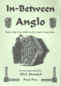 In between Anglo for concertina