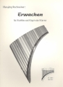 Erwachen fr Panflte und Orgel