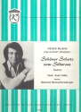 Schner Schatz vom Silbersee: Einzelausgabe Gesang und Klavier