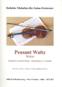 Peasant Waltz fr kleines Salonorchester Direktion und Stimmen