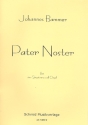 Pater noster fr Gesang und Orgel