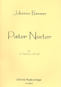 Pater noster fr Gesang und Orgel