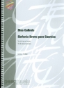 Sinfonia Breve para Cuerdas for string orchestra score