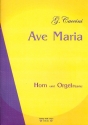 Ave Maria fr Horn und Orgel (Klavier)