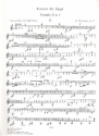 Konzert g-Moll Nr.2 op.177 fr Orgel und Orchester Trompete 2