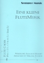 Eine kleine Flutemusik for flute ensemble score and parts