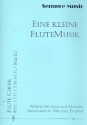 Eine kleine Flutemusik for flute ensemble score and parts