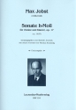 Sonate h-Moll op.17 fr Violine und Klavier