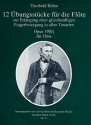 12 bungsstcke zur Erlangung einer gleichmigen Fingerbewegung in allen Tonarten op.19(b) fr Flte