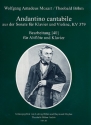 Andante cantabile KV379 fr Altflte und Klavier