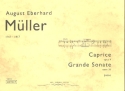 Caprice op.4  und Grande sonate op.36 für Klavier