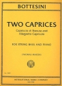 2 Caprices for double bass and piano
