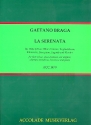 La Serenata fr Flte (Holzblasinstrument) und Klavier