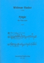 Fylgie fr Flte