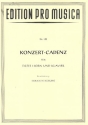 Konzert-Cadenz fr tiefes Horn und Klavier