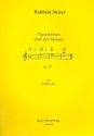 Figurationen ber den Namen AnDrEA op.333 fr Violine