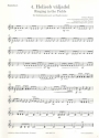 Ringing in the Fields fr Melodieinstrument und Zupforchester Mandoline 2