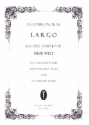 Largo aus Sinfonie Nr.9 fr Alphorn und Orgel