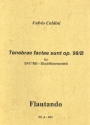 Tenebrae factae sunt op.98b fr 6 Blockflten (SATTBB) Partitur und Stimmen