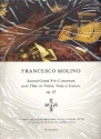 Grand Trio concertant no.2 op.45 pour flte ou violon, alto et guitare partition et parties
