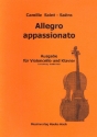 Allegro appassionato fr Violoncello und Klavier