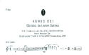 Agnus Dei fr gem Chor (SAM/SATB), Gemeinde, Flte, Streicher und Orgel Flte