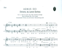 Agnus Dei fr gem Chor (SAM/SATB), Gemeinde, Flte, Streicher und Orgel Chorpartitur