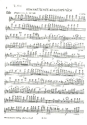 Romantisches Konzertstck fr Zupforchester (weitere Instrumente ad lib) Flte