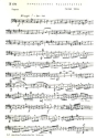 Romantisches Konzertstck fr Zupforchester (weitere Instrumente ad lib) Fagott