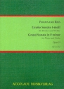 Groe Sonate f-Moll op.19 fr Violine und Klavier