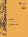 Sinfonischer Satz Blumine f�r Orchester Stimmensatz (Streicher 10-9-8-7-6) und Harmonie