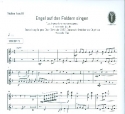 Engel auf den Feldern singen fr gem Chor (SAM/SATB), Gemeinde, Streicher und Orgel Spielpartitur Violine 1/2