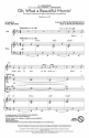 Oh what a beautiful Mornin' for mixed chorus and instruments Showtrax CD