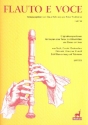 Flauto e voce Band 14 fr Sopran (Tenor), 2-3 Blockflten und Bc 2 Partituren und Stimmen (Bc ausgesetzt)