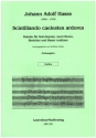 Scintillando caelestes ardores - Motetto fr Sopran, 2 Oboen, Streicher und Bc Partitur