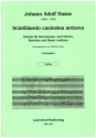 Scintillando caelestes ardores - Motetto fr Sopran, 2 Oboen, Streicher und Bc Partitur