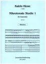 Mikrotonale Studie Band 1 fr Ensemble Stimmen