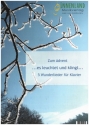 Zum Advent - es leuchtet und klingt f�r Klavier