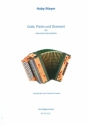 Gold, Platin und Diamant fr steirische Harmonika in Griffschrift