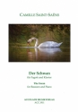 Der Schwan fr Fagott und Klavier