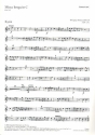Missa longa C-Dur KV262 fr Soli, gem Chor und Orchester Horn 1