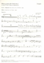 Missa pastoralis bohemica fr Soli, gem Chor und Orchester Pauken