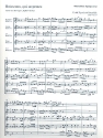 Flauto e voce Band 4 fr hohe Singstimme, Blockflten und Bc 4 Blockfltenspielpartituren (Sino SAT)