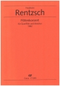 Fltenkonzert fr Querflte und Streicher Partitur